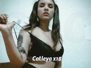 Catleya_x18