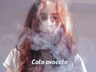 Cato_avocato