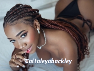 Cattaleyabackley