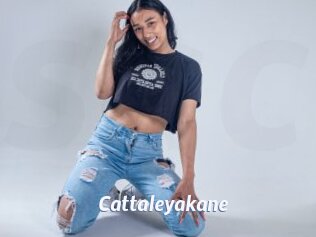 Cattaleyakane