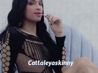 Cattaleyaskinny