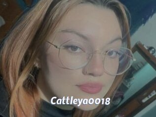 Cattleya0018