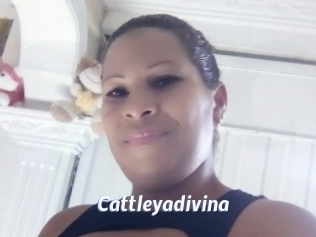 Cattleyadivina