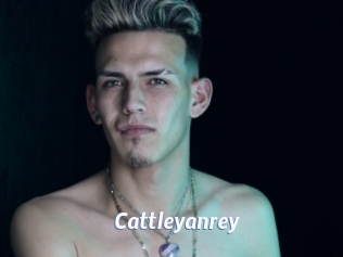 cattleyanrey Sexe amateur contributions