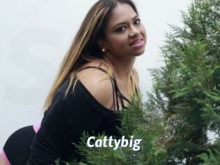 Cattybig