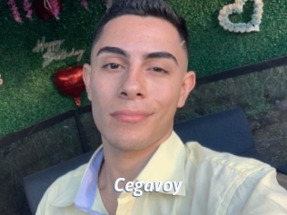 Cegavoy