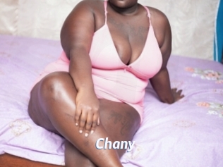 Chany