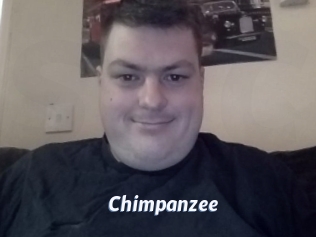 Chimpanzee
