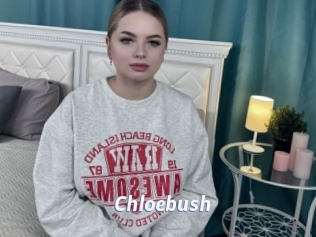 Chloebush