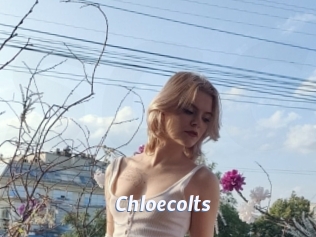 Chloecolts