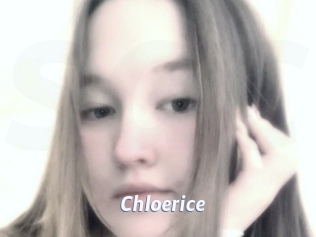 Chloerice
