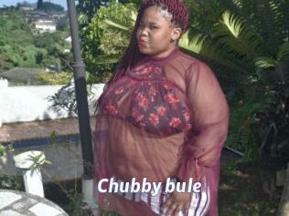 Chubby_bule