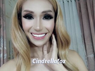 Cindrellafox