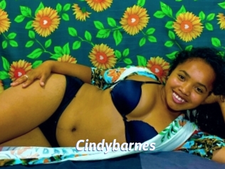 Cindybarnes