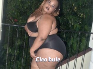 Cleo_bule