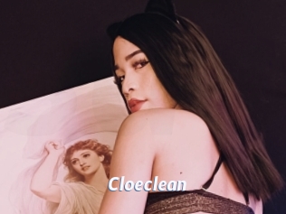 Cloeclean