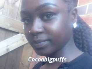 Cocoabigpuffs