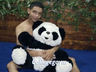 Collegegaym