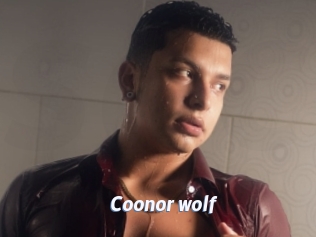 Coonor_wolf