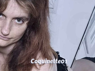 Coquinette01