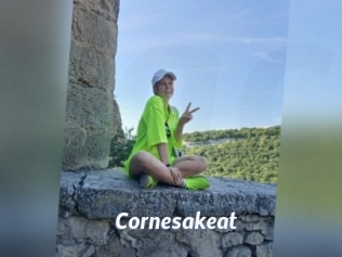 Cornesakeat