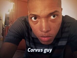 Corvus_guy