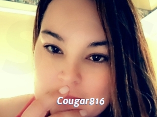 Cougar816
