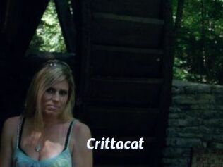 Crittacat