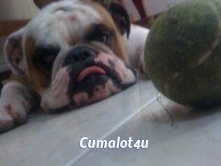 Cumalot4u