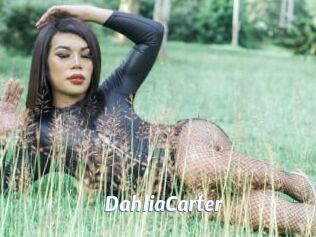 DahliaCarter Sexe amateur contributions