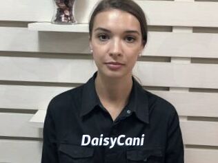 DaisyCani
