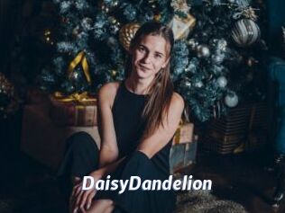 DaisyDandelion