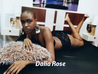 Dalia_Rose