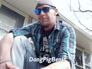 DangPigBenis Sexe amateur contributions