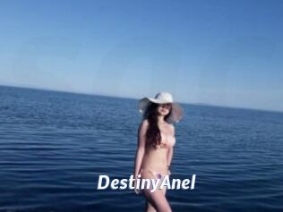 DestinyAnel