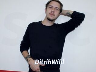 DitrihWild