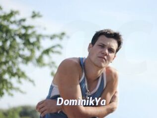 DominikYa