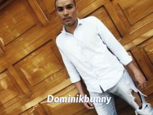 Dominikbunny