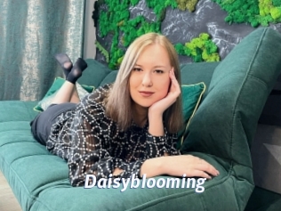 Daisyblooming