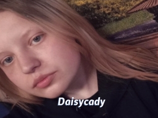 Daisycady