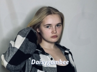 Daisygambee