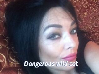 dangerous_wild_cat Sexe amateur contributions