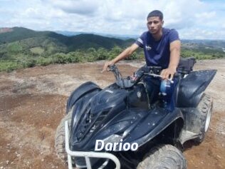 Darioo