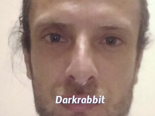 Darkrabbit