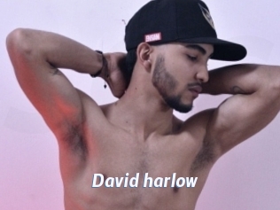 David_harlow
