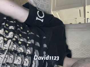 David1123