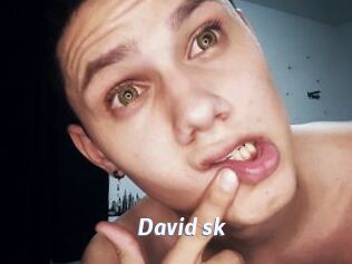David_sk