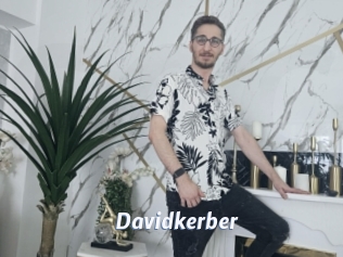 Davidkerber
