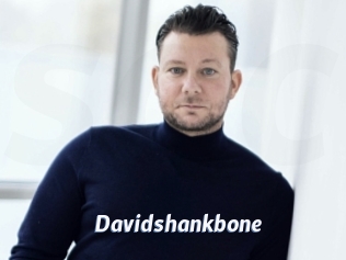 Davidshankbone