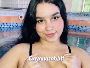Dayanarabbit